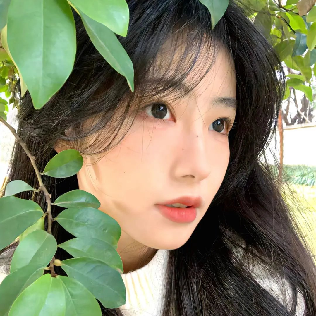 无憾爱别离