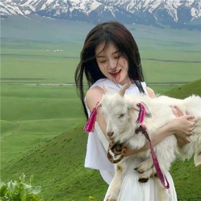 极限特工:终极回归